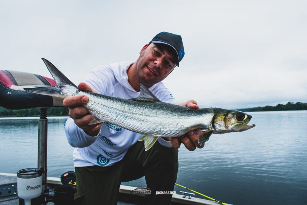 Lady Fish. Un espectáculo en cualquier momento que lo veas