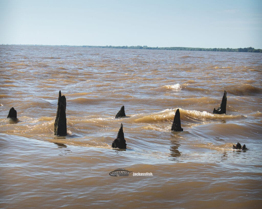 Malecones Berisso - Lugar icónico y técnico