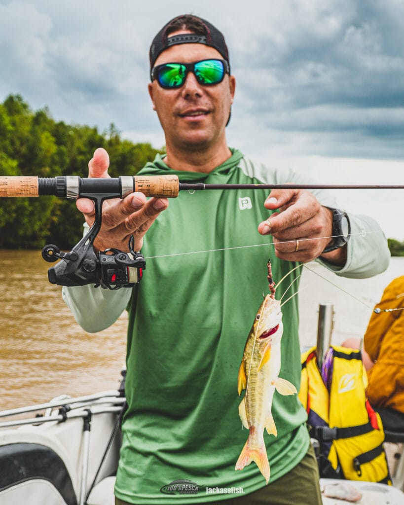 Pesca Ultraliviana de pequeños bagres